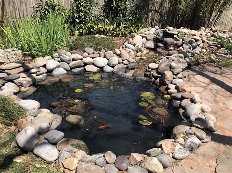 Portfolio Ponds San Antonio - Aquatic Escapes