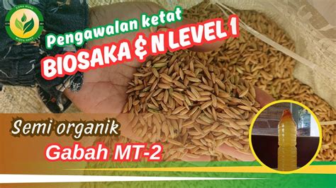 Gabah Mt Aplikasi Biosaka Dan N Level Sehat Bersih Pengisian