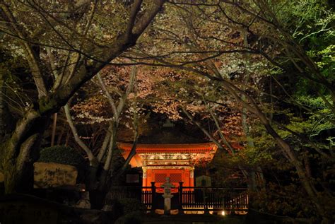 三井寺・園城寺（アクセス・マップ・歴史・・・）