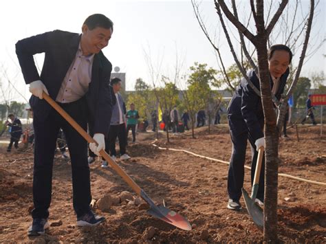 不负春光添新绿！青阳县四大班子领导参加义务植树活动 池州市林业局