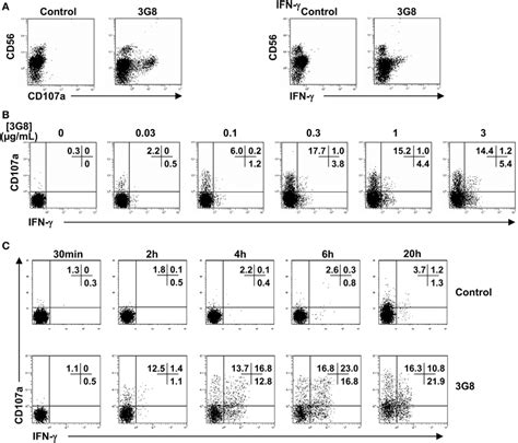 Degranulation And Ifn γ Synthesis By Cd56 Dim Nk Cells In Response To Download Scientific