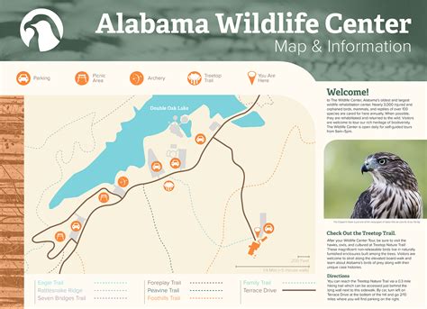 Alabama Wildlife Center On Behance