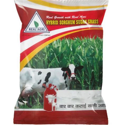 Dried Real Agri Hybrid Sorghum Sudan Grass Seeds Packaging Size 1 Kg At Rs 90 Kg In Nagpur