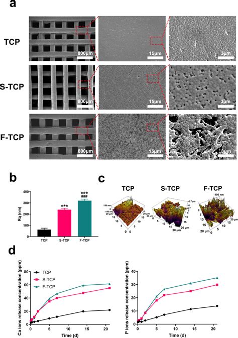 A Morphology Characterization Of The Scaffolds Analyzed By Sem B The