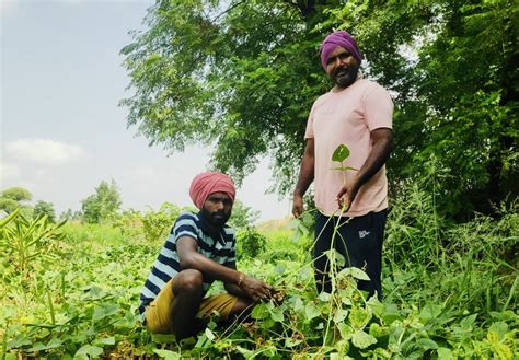 Educating Farmers about Organic Farming - Project Details