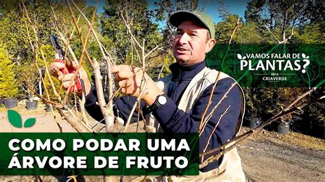 Aprenda como podar árvores de fruto em 2 minutos YouTube