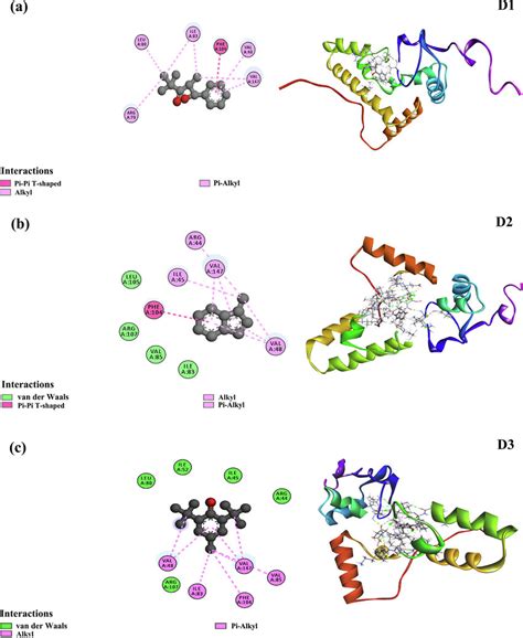 The Top Binding Pose Obtained By Molecular Docking Simulation Both In