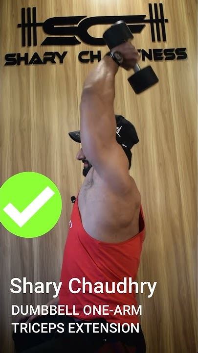 Dumbbell Single Arm Tricep Extension Tricep Workout Shary Ch