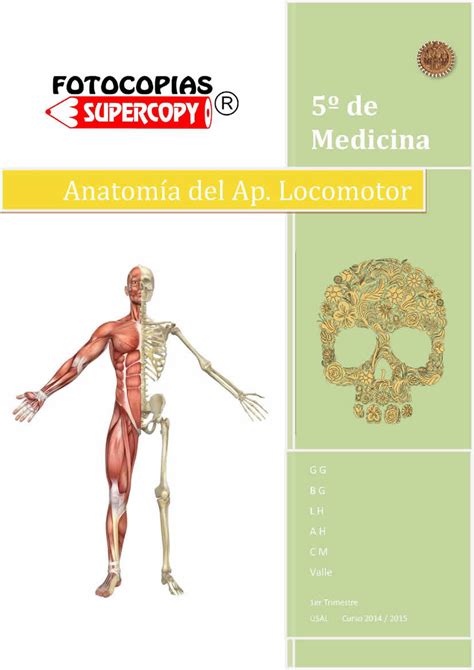 El Aparato Locomotor Partes Y Funciones Con Imagenes Pequeocio Images