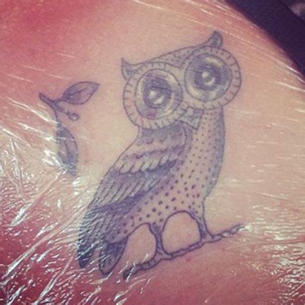 scott partridge : athena's owl