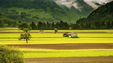 Agriculture Clouds Country Countryside Cropland Environment Farm