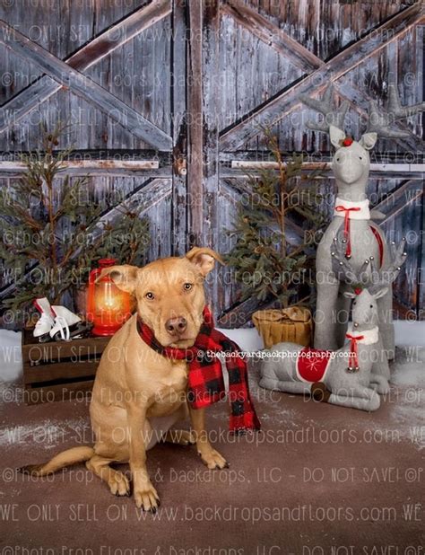 Rustic Old White Barn Door Photography Backdrop Country Distressed