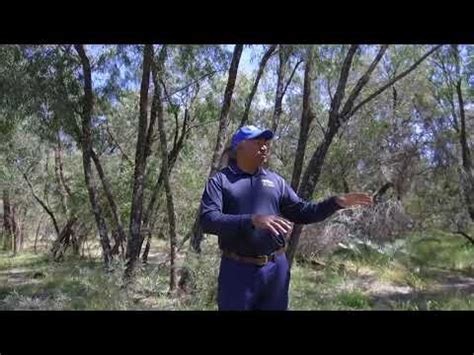 Noongar Bush Medicine On Country With George Walley Youtube