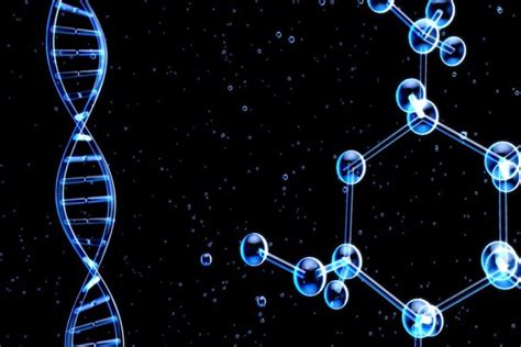 Estructura De Los Cidos Nucleicos C Mo Se Conforman