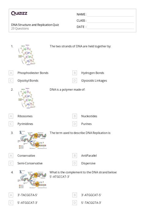 Dna Structure And Replication Worksheets For Th Class On Quizizz