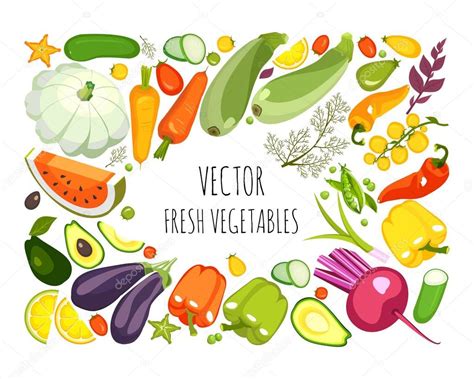 Ilustraci N Vectorial De Una Colecci N De Verduras Maduras Hierbas Y