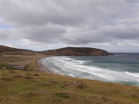 Fox Bay East Falklands Wired For Adventure