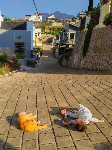 Wichi On Twitter Rt Kochengfs Sunbathingnya Sama Anak Tetangga