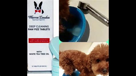 深層浸腳泡泡deep Cleaning Paw Fizz Tablets By Warren Londonusa 沽喱寵物glpetmart