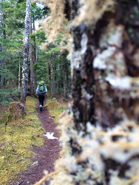 Clearwater Lake trail, near Terrace BC | Clearwater lake, Travel, Clear ...