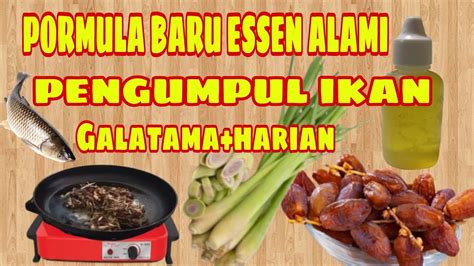 Pormula Baru Essen Pengumpul Ikan Buat Harian Galatama Youtube