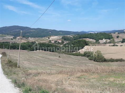 Terreno Agricolo Podere Quercebrunelli Casole D Elsa Rif 98706626