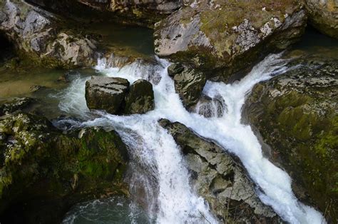 D Couvrez Les Pertes De Lain Dans Le Jura