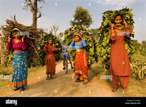 Nepal Terai Area Seti Zone Kailali District Traditional Life Of A Village Of Rana Tharu