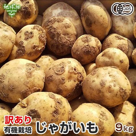 訳あり じゃがいも 9kg 有機栽培 鹿児島県産 宮崎県産 化学肥料・農薬不使用 大きさおまかせ ふぞろい ご自宅用 有機jas 発送期間12