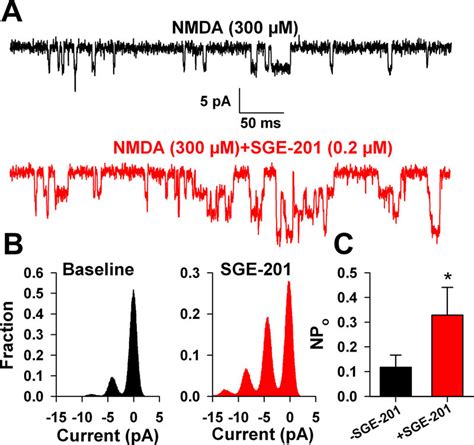 Potentiation In Excised Outside Out Membrane Patches A Baseline NMDAR