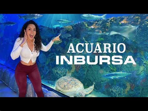 Descubre C Mo Llegar Al Acuario Inbursa Gu A Completa De Transporte Y