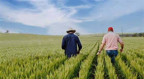 3 sites in China recognized as agricultural heritage