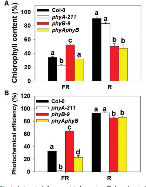 Figure 4 From Antagonistic Roles Of Phya And Phyb In Far Red Light