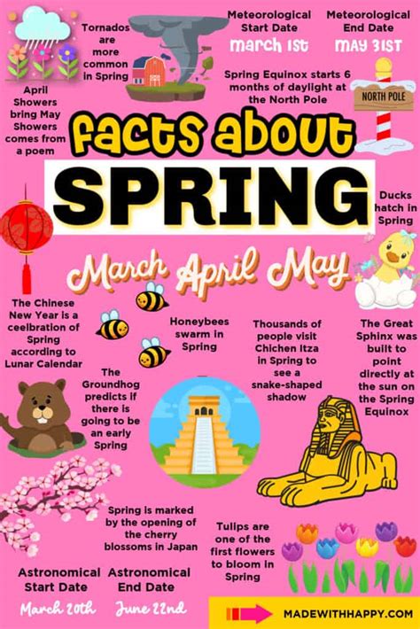 Facts About Spring Made With Happy