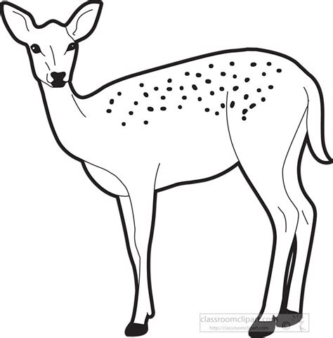 Deer Clipart Black And White