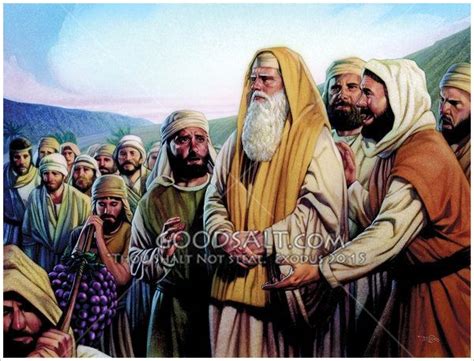 Moses Is Receiving The Reports Of The Twelve Spies Joshua And Caleb