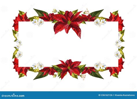 Poinsettia De Flor De Navidad Ilustraciones De Acuarela Sobre Un Fondo