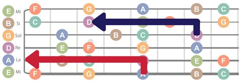 Comprendre Le Manche De La Guitare La R Gle Des Cases Manche De