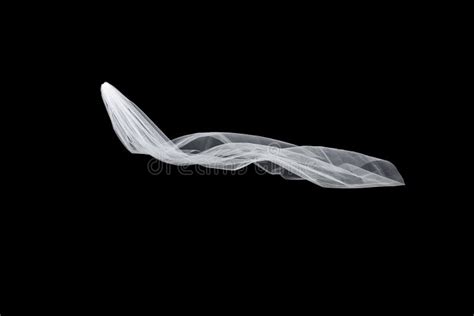 Wedding White Bridal Veil Isolated On Black Background Stock Image