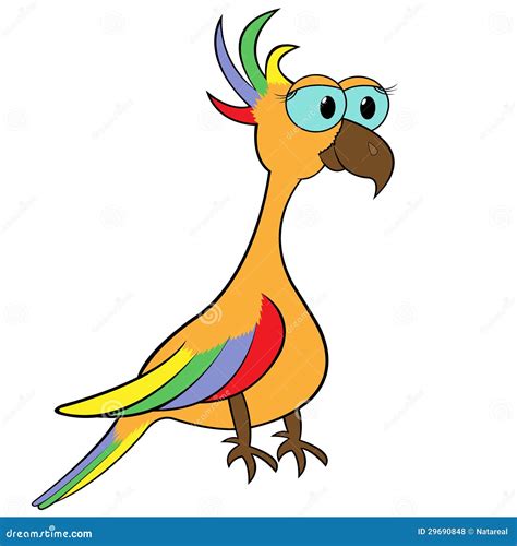 Parrot Cartoon Vector Illustration Royalty Free Stock Photos Image