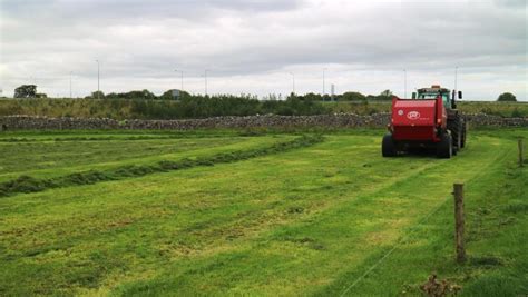 Setting Up A Paddock Grazing System May Free