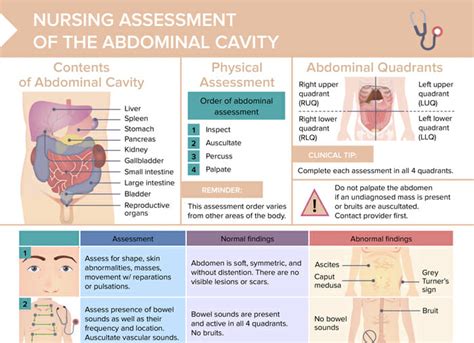 Free Nursing Cheat Sheets Download Now Lecturio