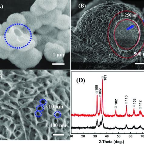 A SEM Images Of The As Synthesized ZnO Hollow Microspheres Circled