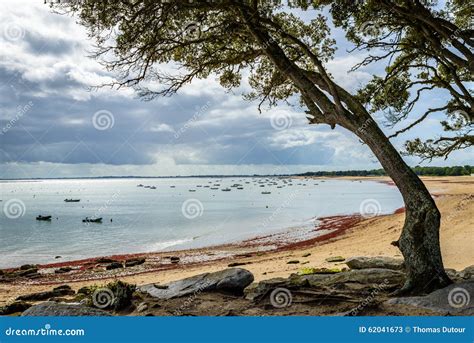 Noirmoutier Island stock image. Image of clouds, ocean - 62041673