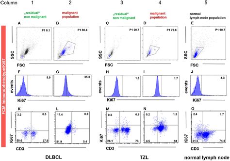 Frontiers Flow Cytometric Assessment Of Ki 67 Expression In Lymphocytes From Physiologic Lymph