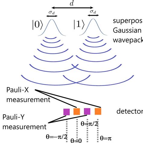 Spatial Detection For σ X σ Y Measurements A Pair Of Detectors Download Scientific Diagram