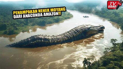 Berusia Jutaan Tahun Ular Predator Terbesar Penghuni Sungai Amazon