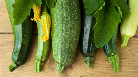 Zucchini Kugel My Jewish Learning