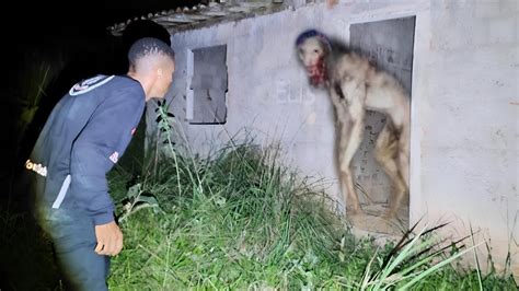 CRIATURA MACABRA QUE DEVOROU UMA FAMÍLIA INTEIRA APARECE EM UM CASA