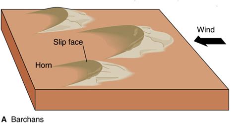 Parabolic Dunes